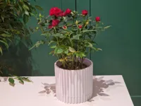 Pot de fleur simple — photo 1