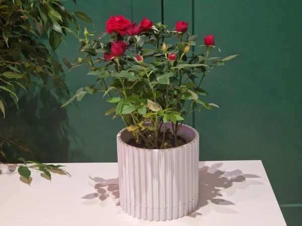 Pot de fleur simple