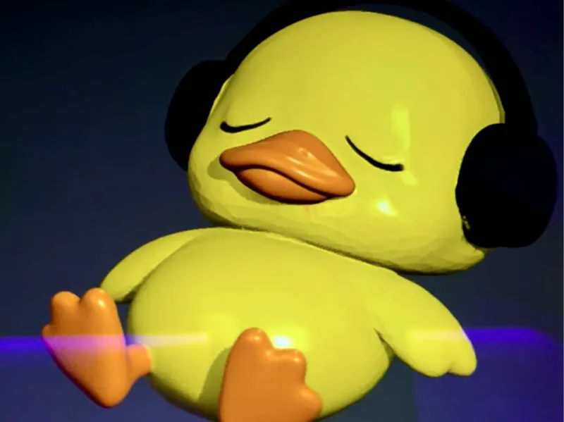 Duck