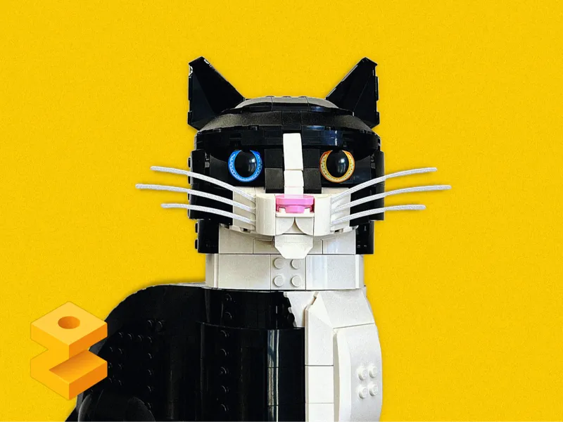 Whiskers Add-On for LEGOs Ideas Tuxedo Cat 21349
