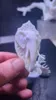 elephant head m
