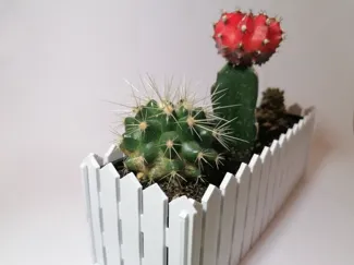 Mini flower bed