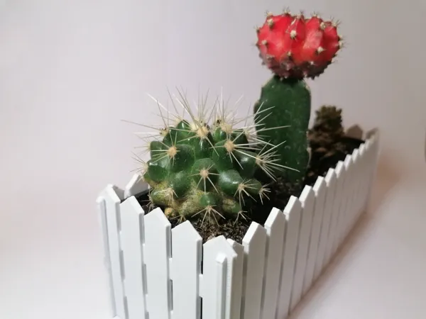 https://makerworld.bblmw.com/makerworld/model/US2f4695e9a7ad2a/design/2024-06-27_043d0a7fba264.jpg