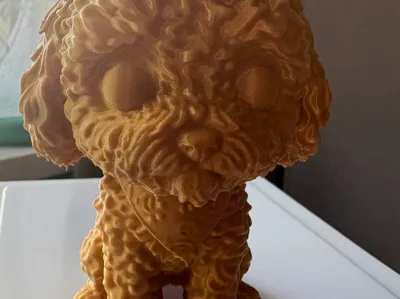 cockapoo/ Spoodle