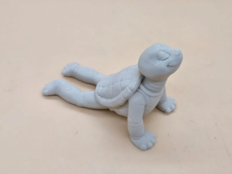 Edgar macht Yoga – 7: Die aufgewachte Schildkröte