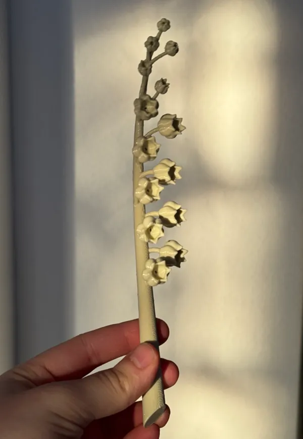 https://makerworld.bblmw.com/makerworld/model/US2f4e05ef48ca7f/design/2024-12-23_30a5dbefcda2b8.jpg
