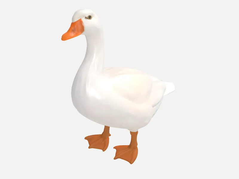 Gans