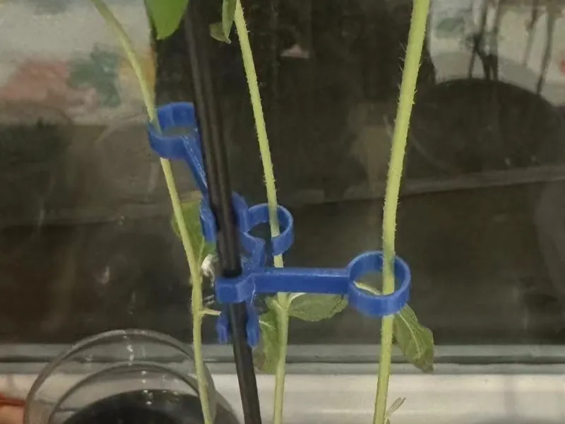 花花草草固定器