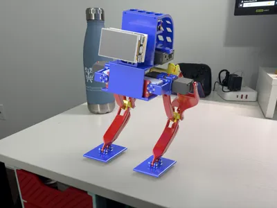 Robotics Studio: Bipedal Robot