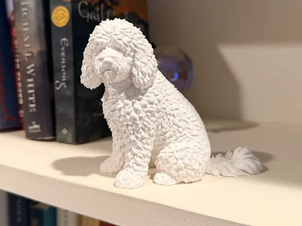 https://makerworld.bblmw.com/makerworld/model/US2f56e43d2d901b/design/619007169ea41770.jpg
