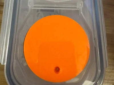 Amazon 60.85mm (smaller) mod
