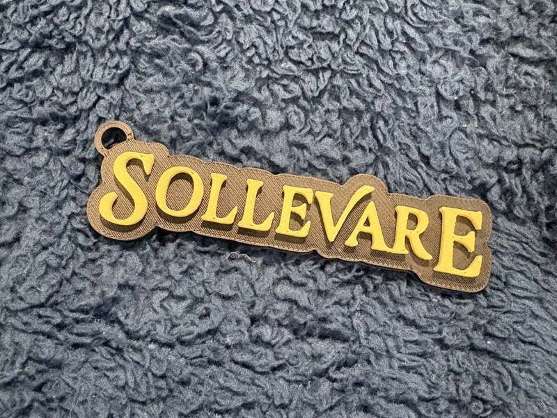 Ron Clark Academy Sollevare House Keychain