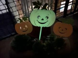 Glow Kürbis – Leuchtende Halloween Deko