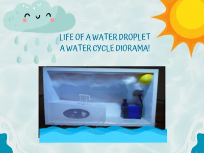Life of a Water Droplet - A Water Cycle Diorama