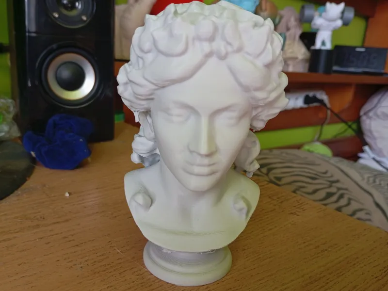 Bust of a Woman
