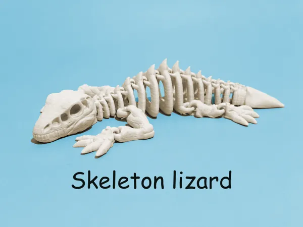 https://makerworld.bblmw.com/makerworld/model/US2f6ac565e56909/design/2025-12-28_a4d461ed9dbaf.png