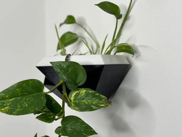 https://makerworld.bblmw.com/makerworld/model/US2f6e7017031510/design/2024-02-13_f5ded72334f91.jpg