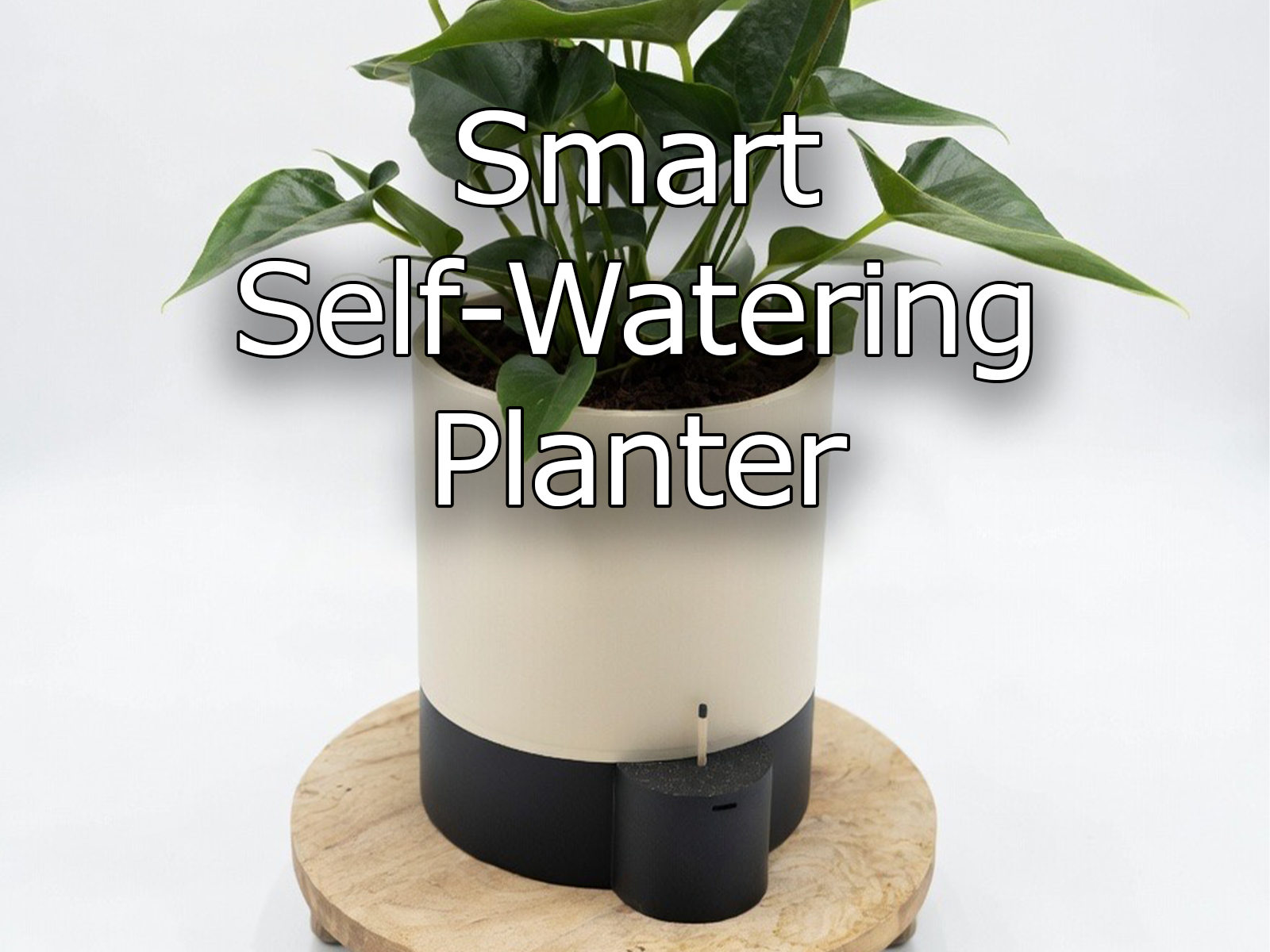 Smart Self-Watering Planter (5V USB waterpump)