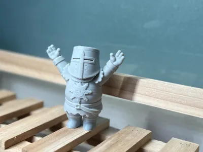 Adorable Solaire of Astora "Praise the Sun"