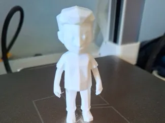 Low Poly Human