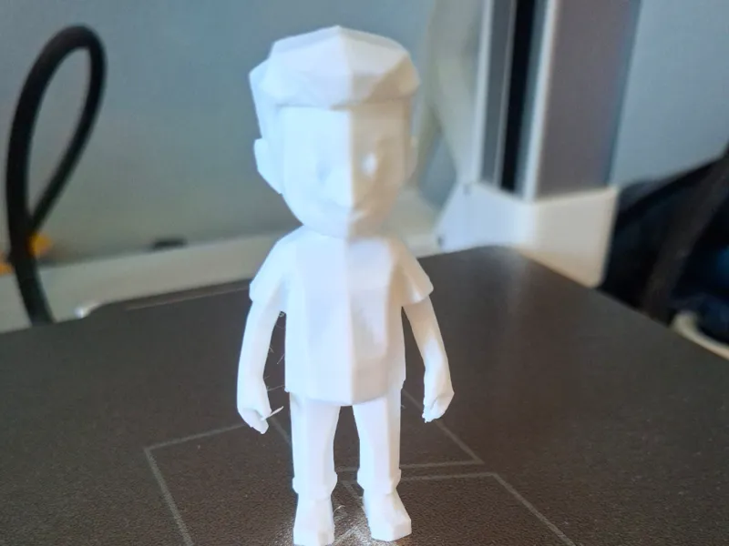 Low Poly Human