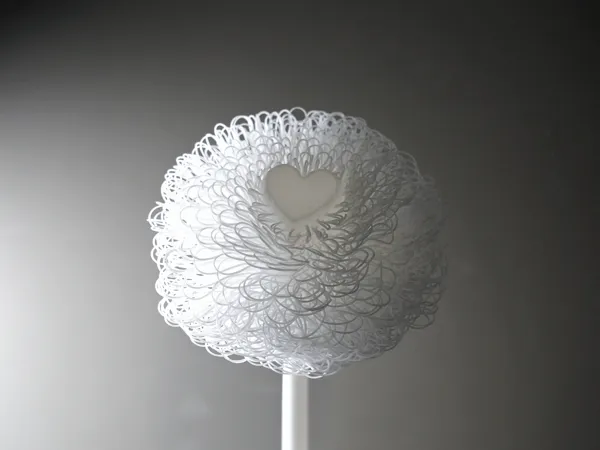 https://makerworld.bblmw.com/makerworld/model/US2f80edd3131c26/design/2025-02-13_c4ed3a301001e.png