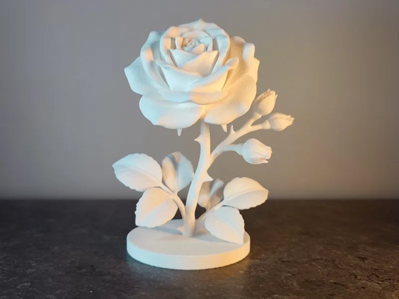Rose Éternelle