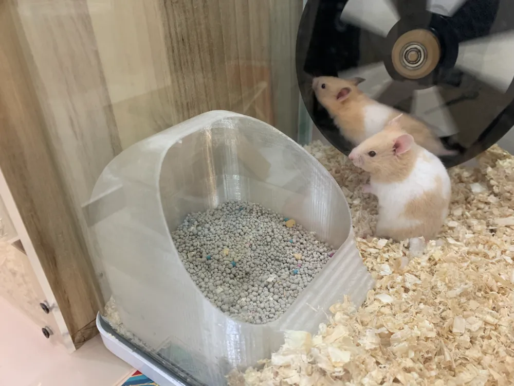 Curated visual reference: Fresh Look at Hamster Urine And Bath Sand House By Ms Makerworld Download