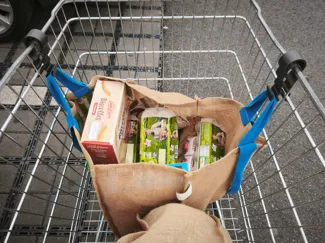 Big clips with hooks for bags in shopping cart