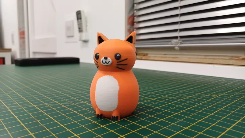 Cute Cat