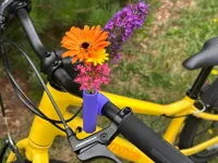 Flower Holder