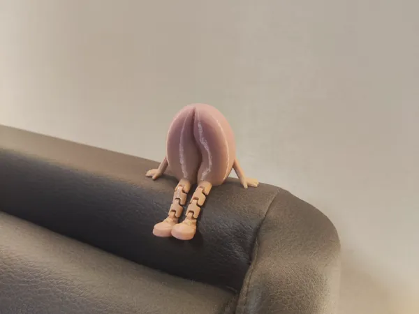 https://makerworld.bblmw.com/makerworld/model/US2f9a1943237295/design/087b7ab791f50b41.jpg