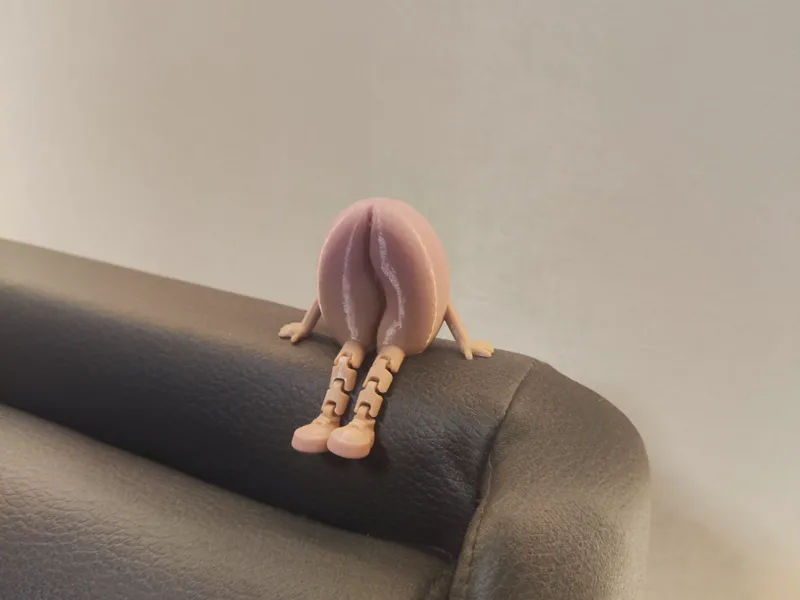 咖啡豆 伙伴