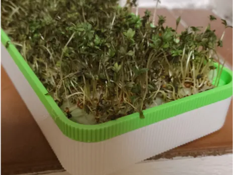 https://makerworld.bblmw.com/makerworld/model/US2fa5821f333880/design/2025-03-14_d4d29fa6f656d.png