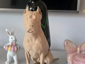 american staffordshire terrier 