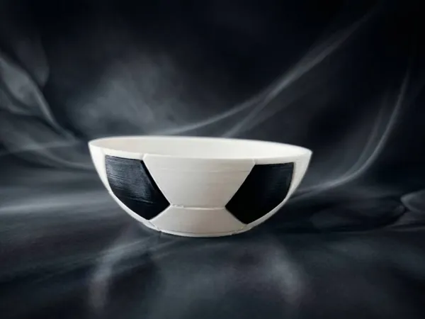https://makerworld.bblmw.com/makerworld/model/US2fb29dda72e01/design/fb572f172ef81b07.jpg