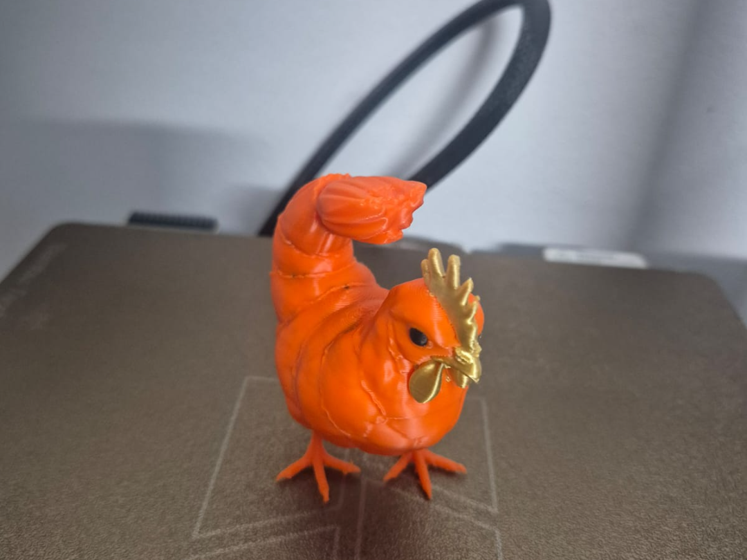 Gamberetto Gallina