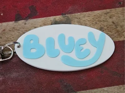 Bluey NFC Keychain