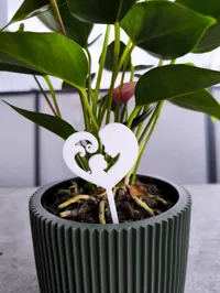 Small Plant Stake