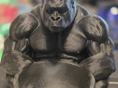 gorilla catchall