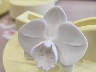 Orchid