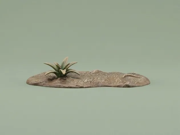 suelo con planta