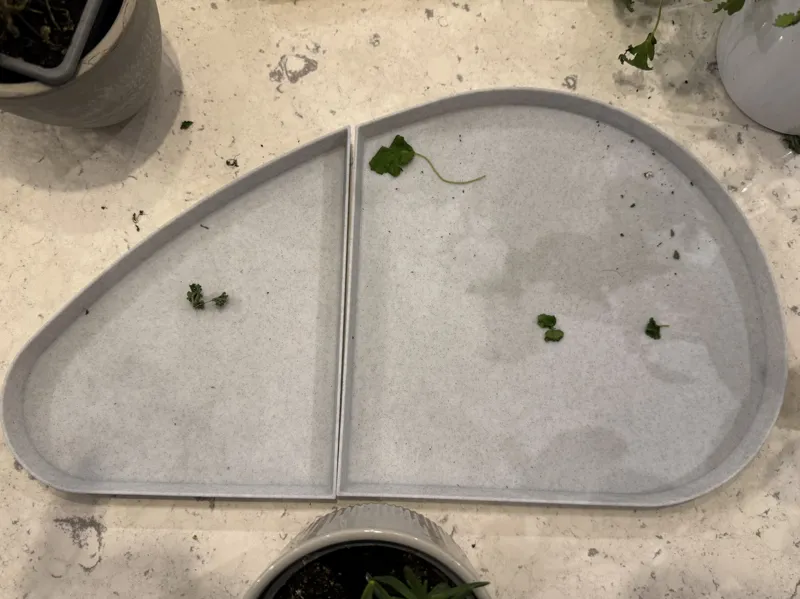 Plant tray in two parts