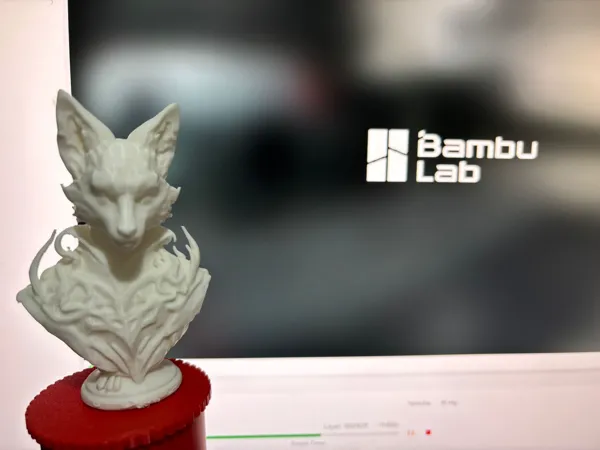 https://makerworld.bblmw.com/makerworld/model/US2fcef7a12e36b8/design/2024-11-22_28bf7befdf402.jpg