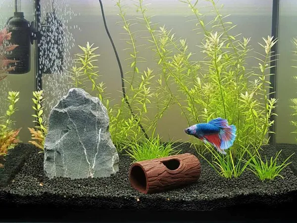 https://makerworld.bblmw.com/makerworld/model/US2fd05332016ae1/design/f7ab118def50b50f.jpg