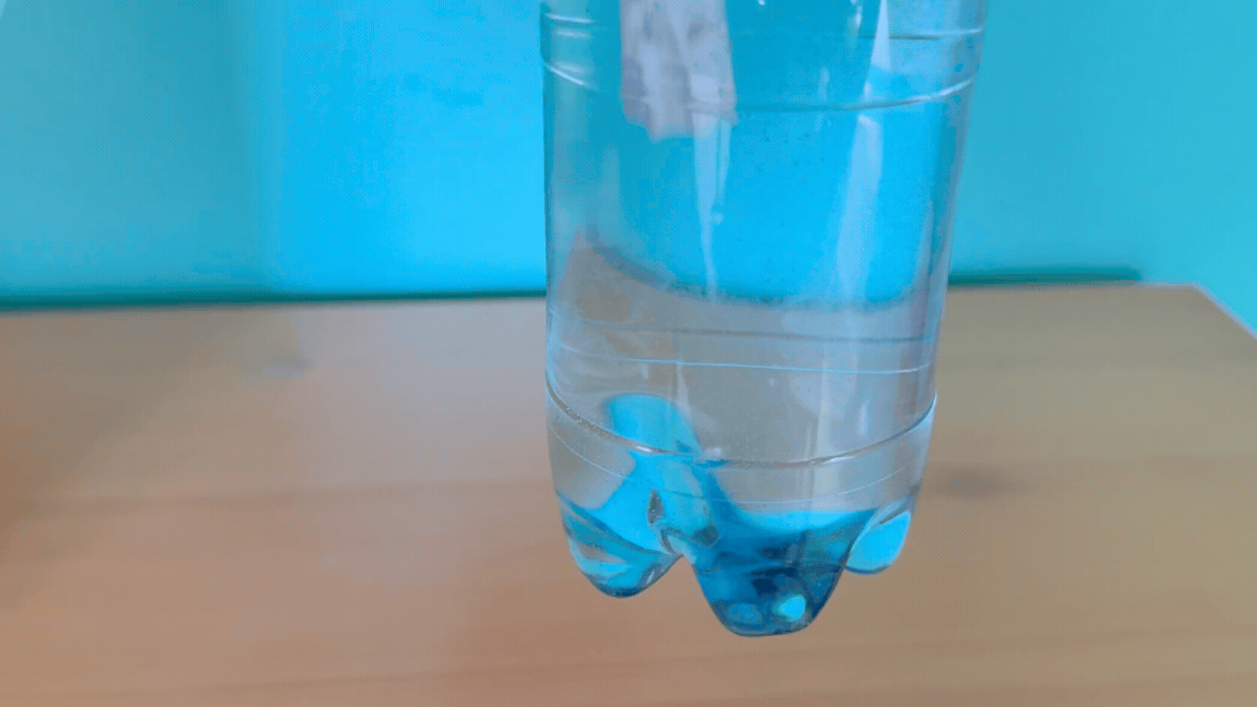 The Cartesian Diver Experiment