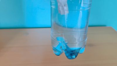 The Cartesian Diver Experiment