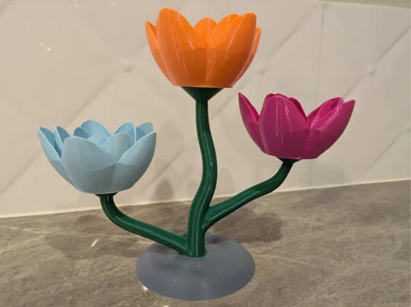 https://makerworld.bblmw.com/makerworld/model/US2fd80e55610ac0/design/2025-01-07_d696364324b27.jpg