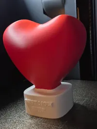 Text in white 0.16mm layer, 2 walls, 5% infill
