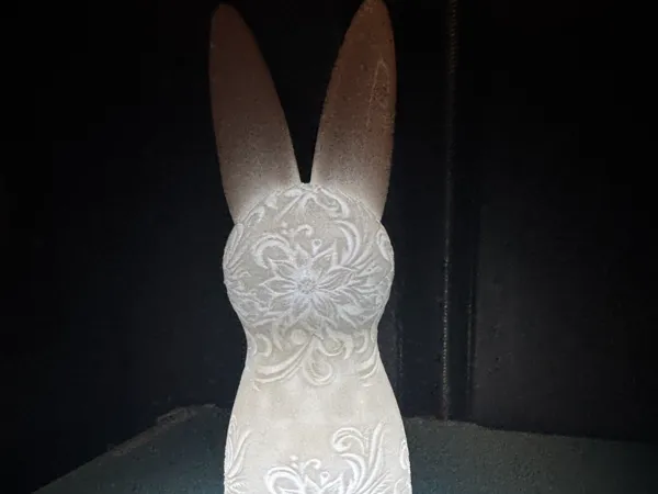 https://makerworld.bblmw.com/makerworld/model/US2fe09492c3b070/design/2025-03-22_494379bffdf57.jpg